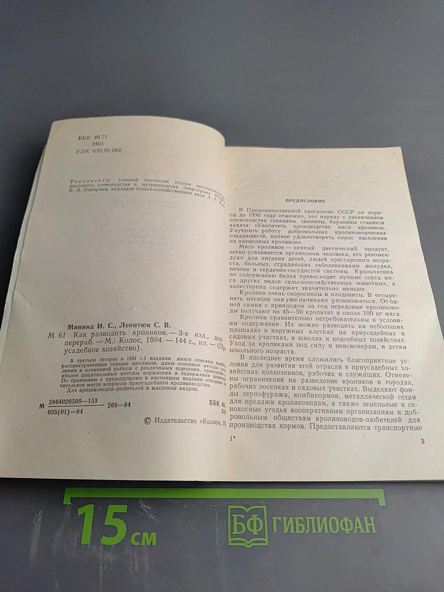 Как разводить кроликов