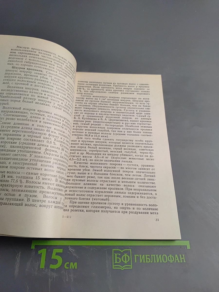 Как разводить кроликов