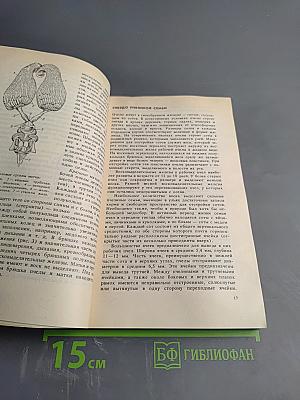 Основы пчеловодства