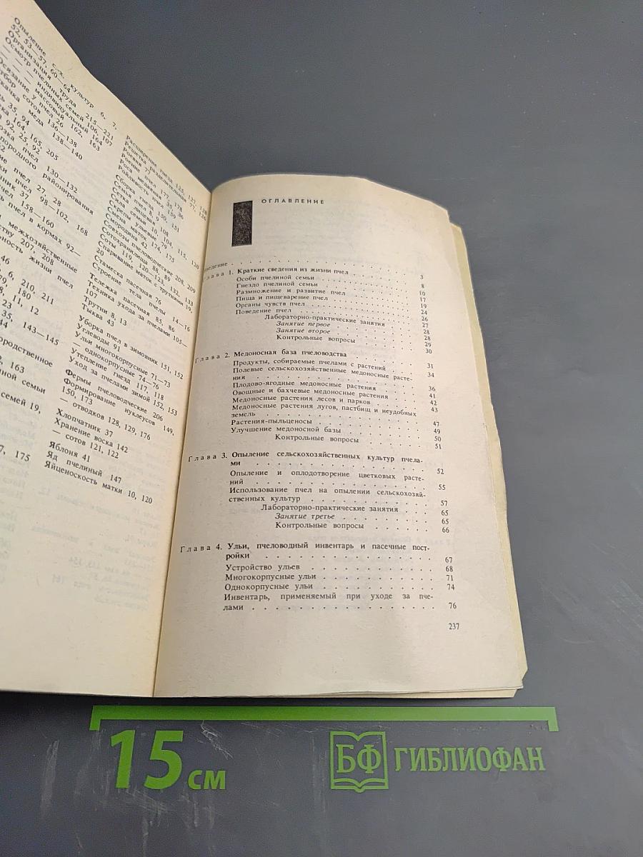 Основы пчеловодства