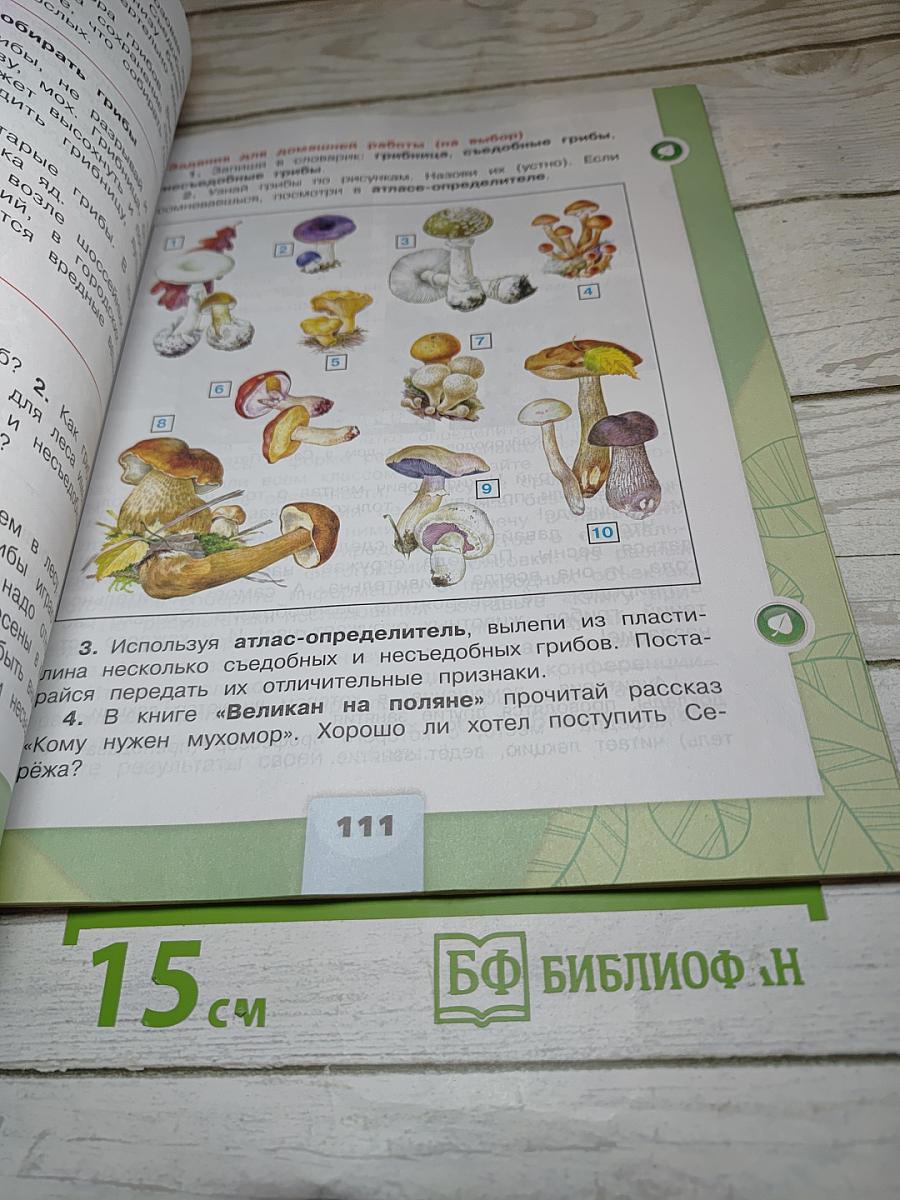 Окружающий мир 3 класс. Часть 1