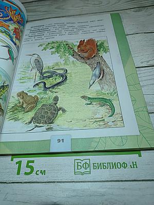 Окружающий мир 3 класс. Часть 1