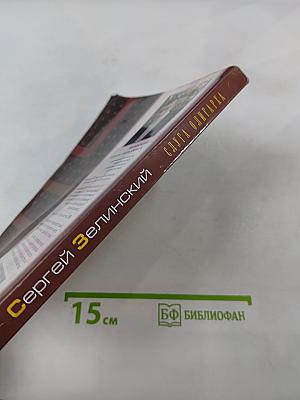 Слуга олигарха