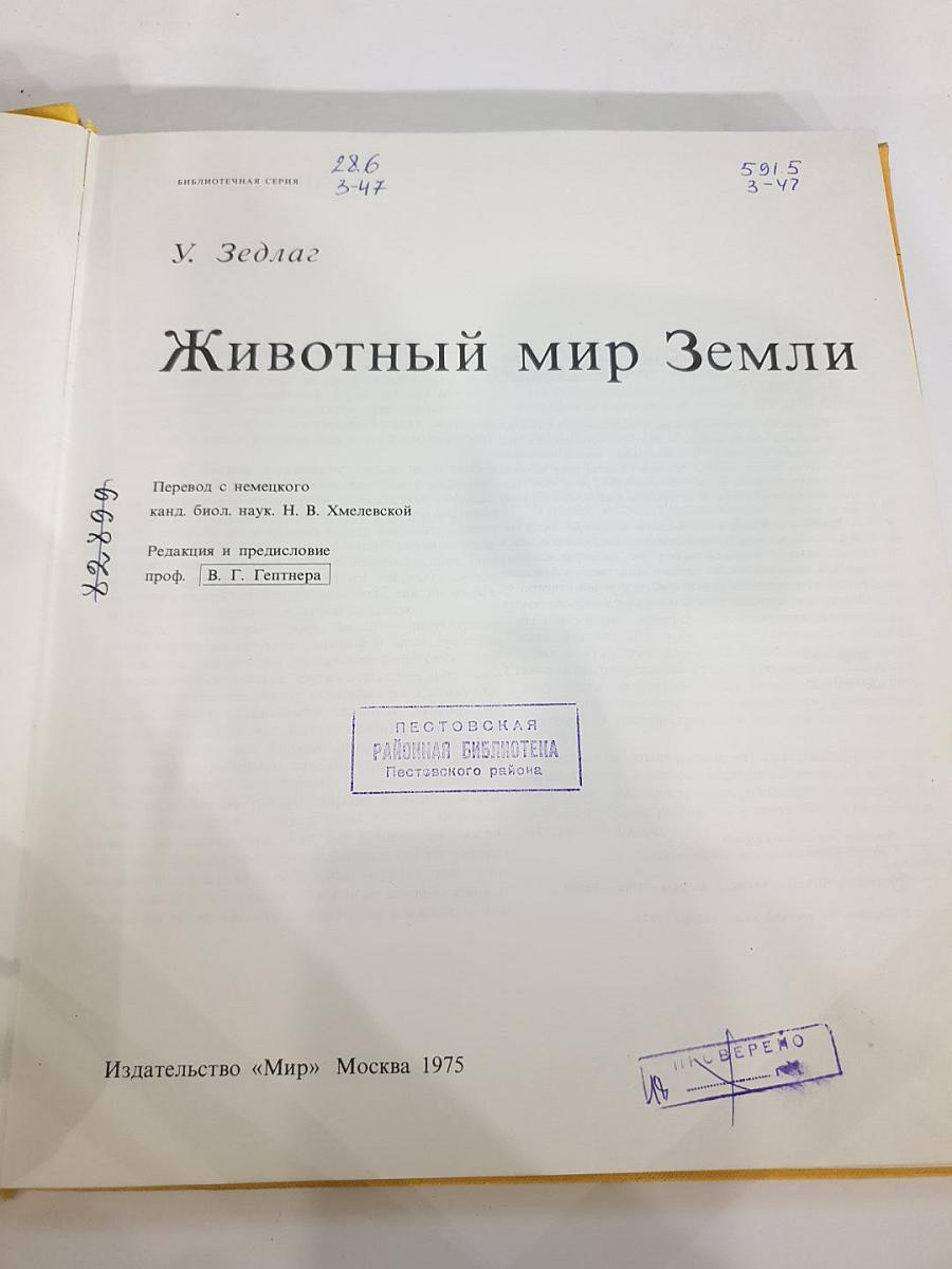 Животный мир Земли