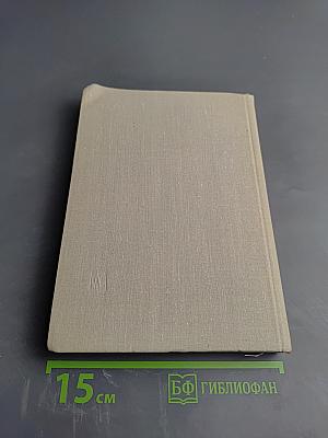 Великий освободительный поход