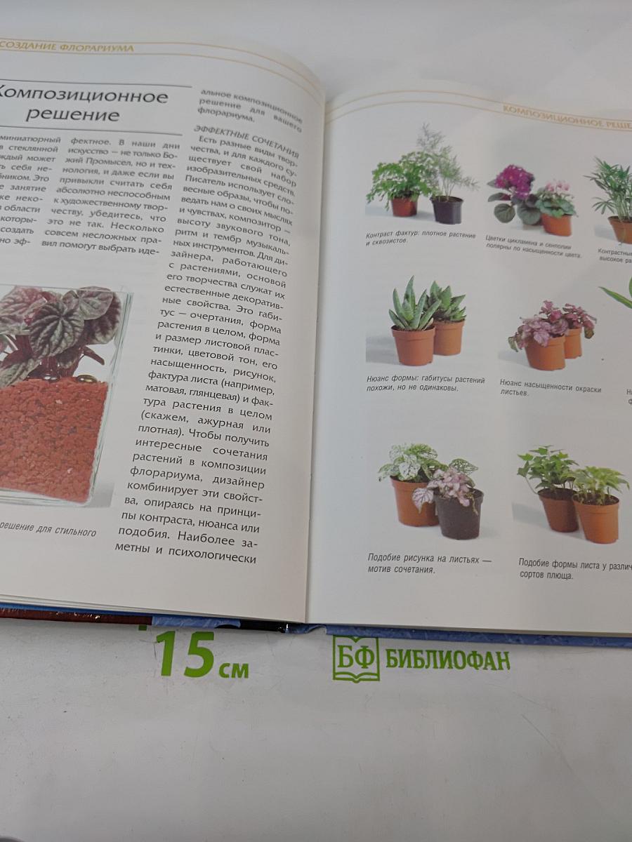 Цветочные аквариумы