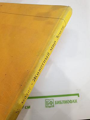 Животный мир Земли