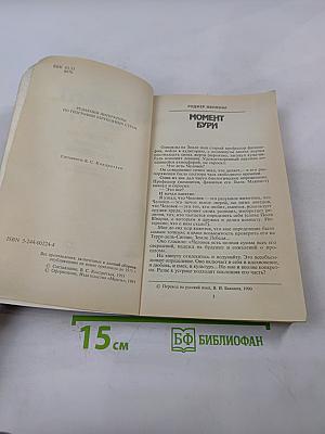 Момент бури