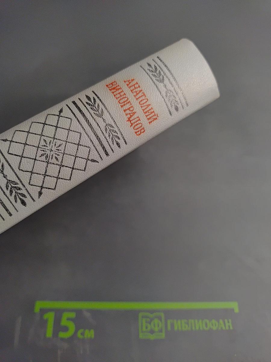 Повесть о братьях Тургеневых. Осуждение Паганини