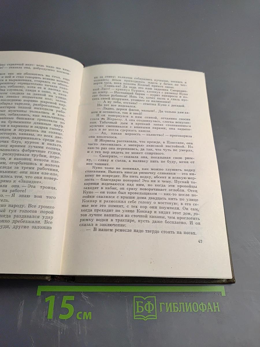 Собрание сочинений. Том шестой: Занадия