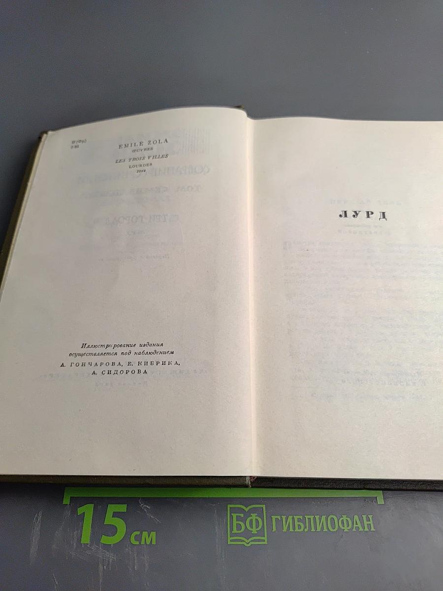 Три города. Лурд. Том семнадцатый