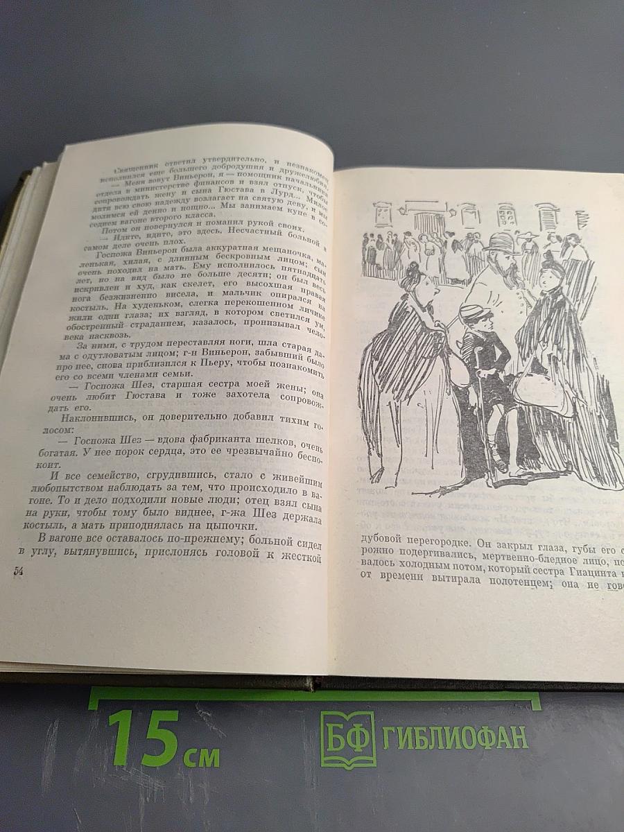 Три города. Лурд. Том семнадцатый