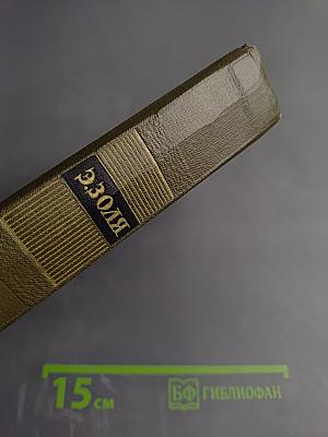 Три города. Лурд. Том семнадцатый