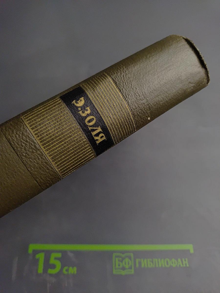 Эмиль Золя. Собрание сочинений. Том двадцать третий