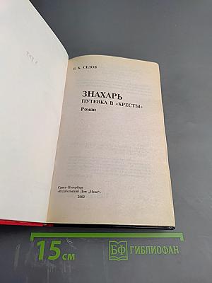 Знахарь. Путевка в «Кресты»