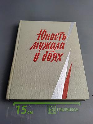 Юность мужала в боях