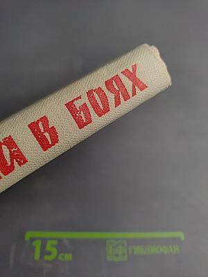 Юность мужала в боях