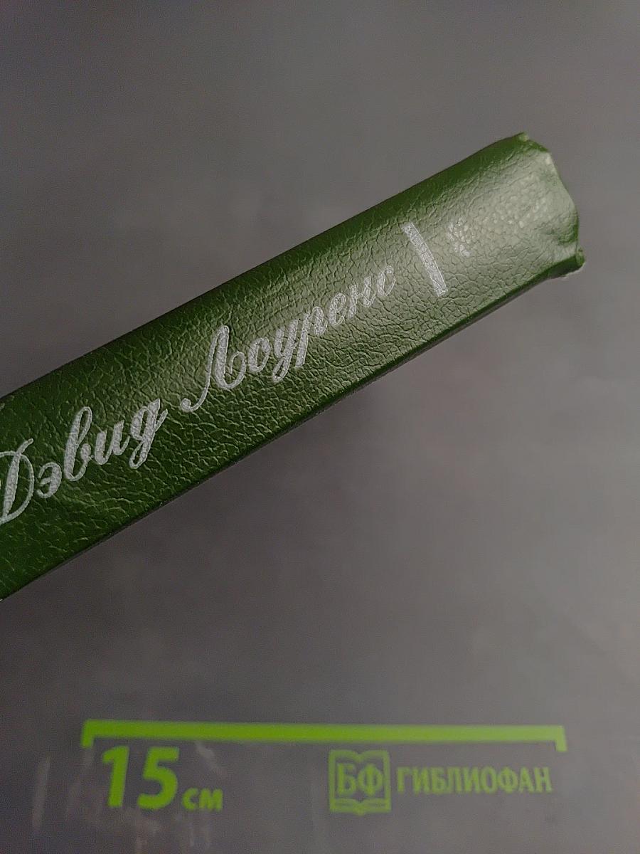 Сыновья и любовники; Флейта Аарона