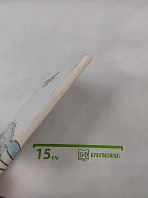 Афганское звено