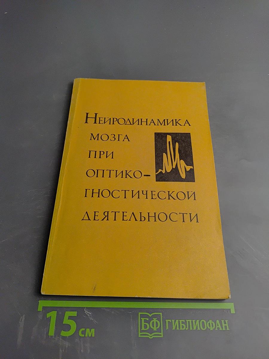 Нейродинамика мозга при оптико-гностической деятельности