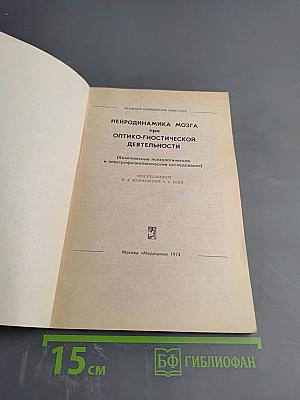 Нейродинамика мозга при оптико-гностической деятельности