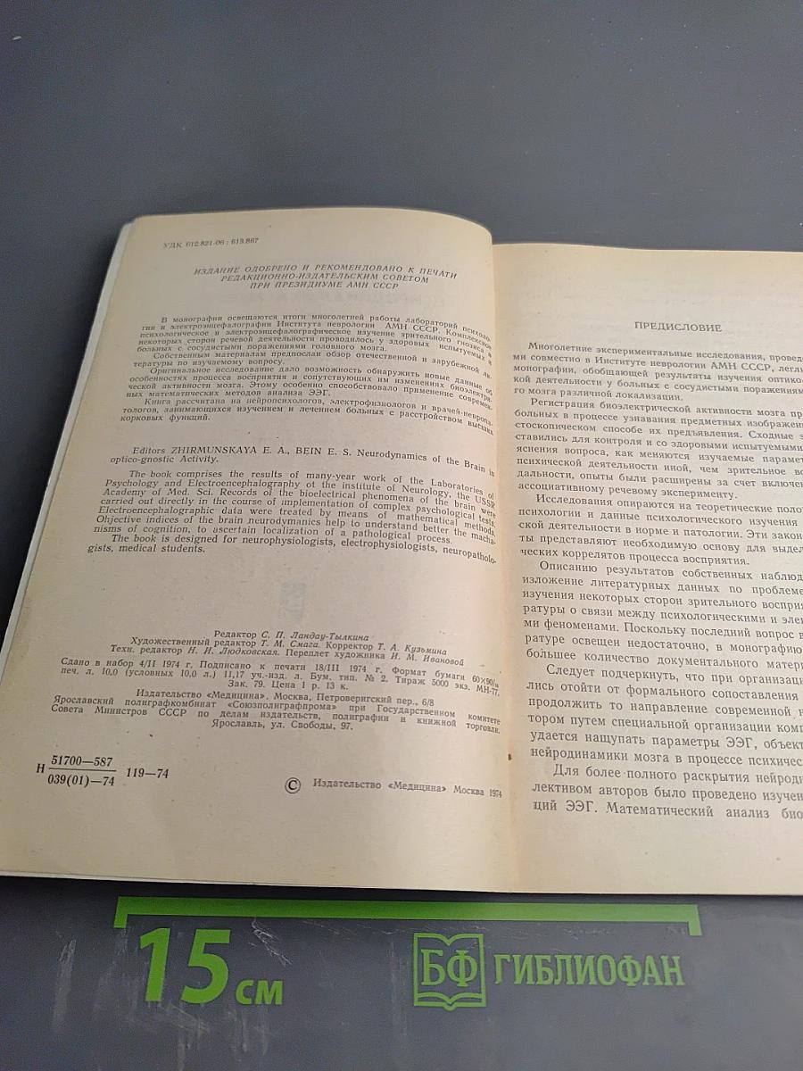 Нейродинамика мозга при оптико-гностической деятельности
