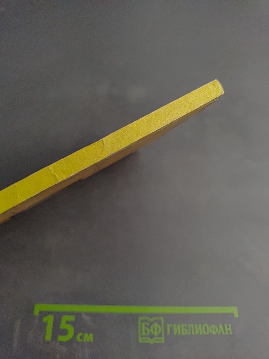 Нейродинамика мозга при оптико-гностической деятельности