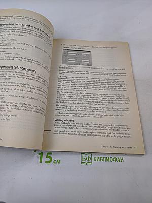 Borland Delphi Database Application Developer's Guide for Windows 95 & Windows NT