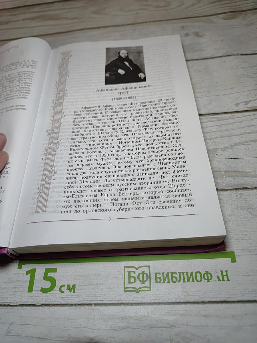 Литература 10 класс, Часть 2
