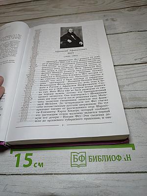 Литература 10 класс, Часть 2