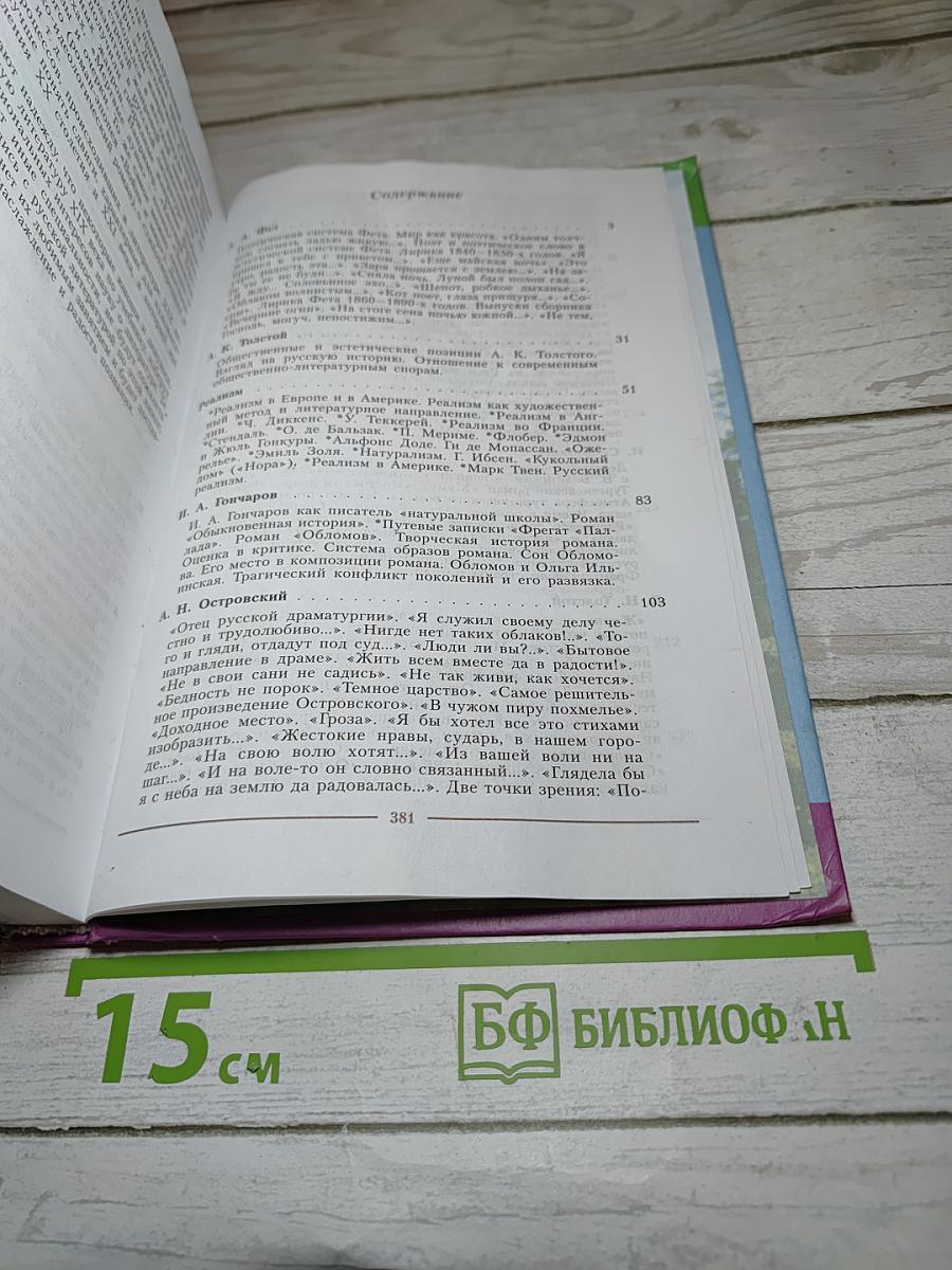 Литература 10 класс, Часть 2