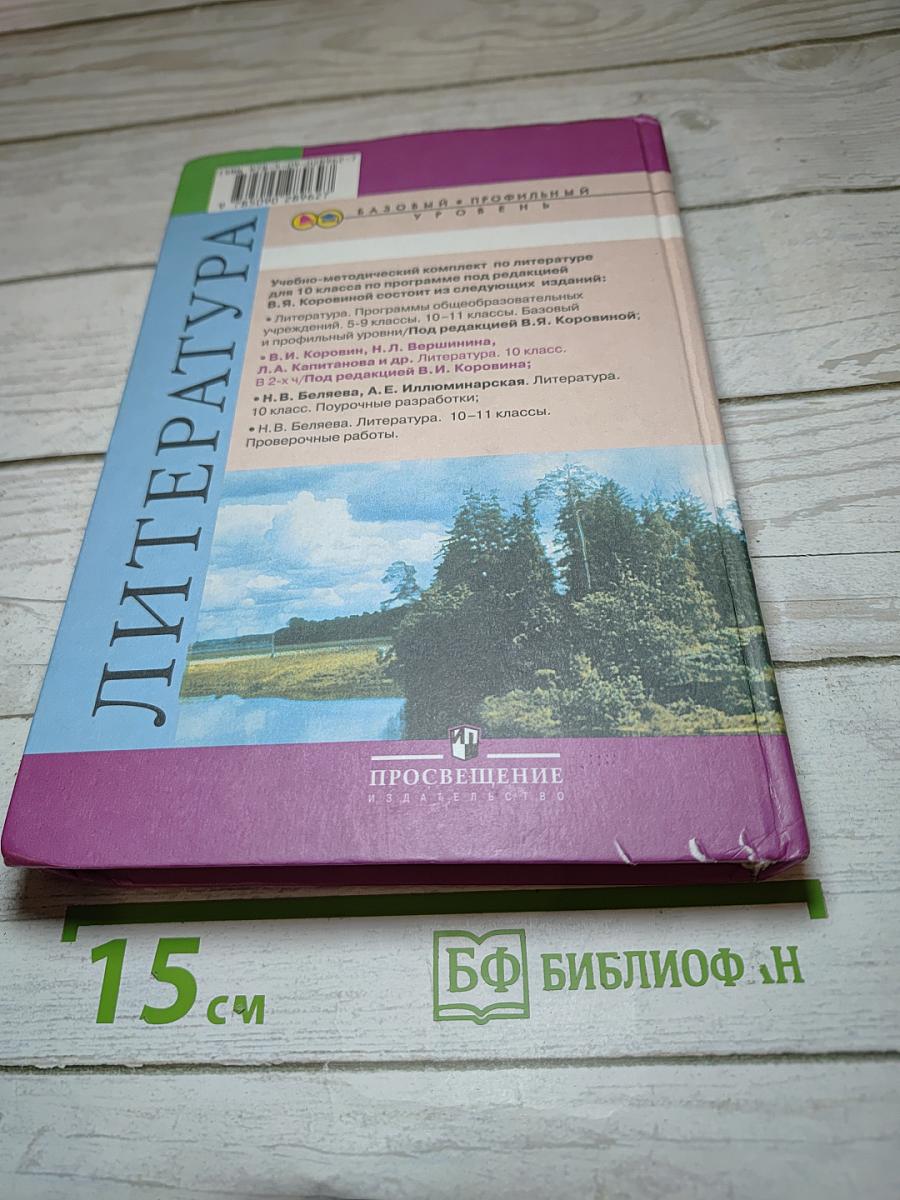 Литература 10 класс, Часть 2