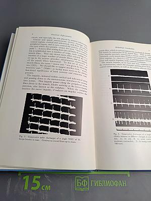 Functional Differentiation of Human Skeletal Muscle