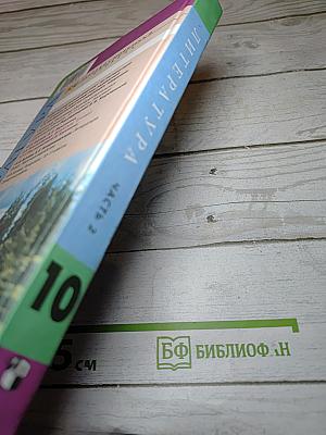 Литература 10 класс, Часть 2