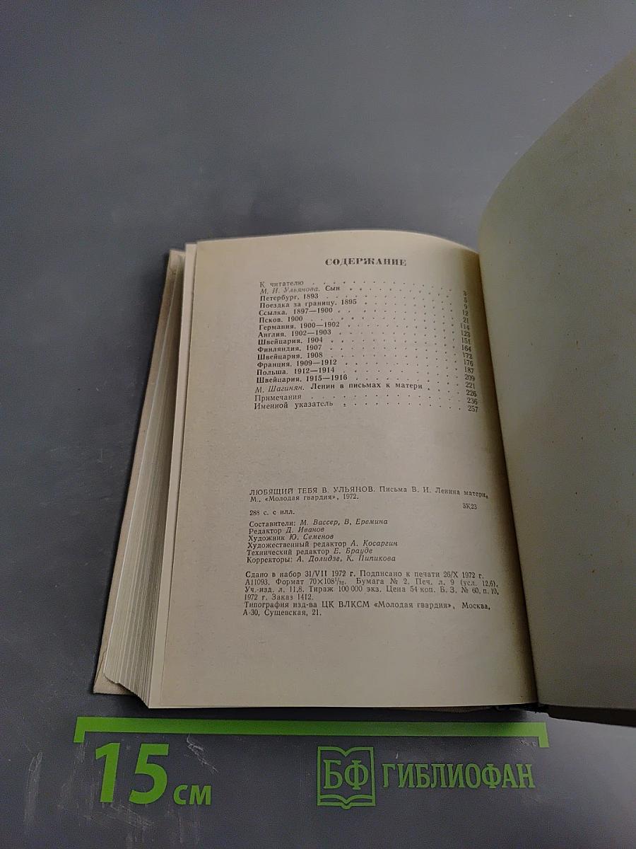 Любящий тебя В. Ульянов. Письма В. И. Ленина матери