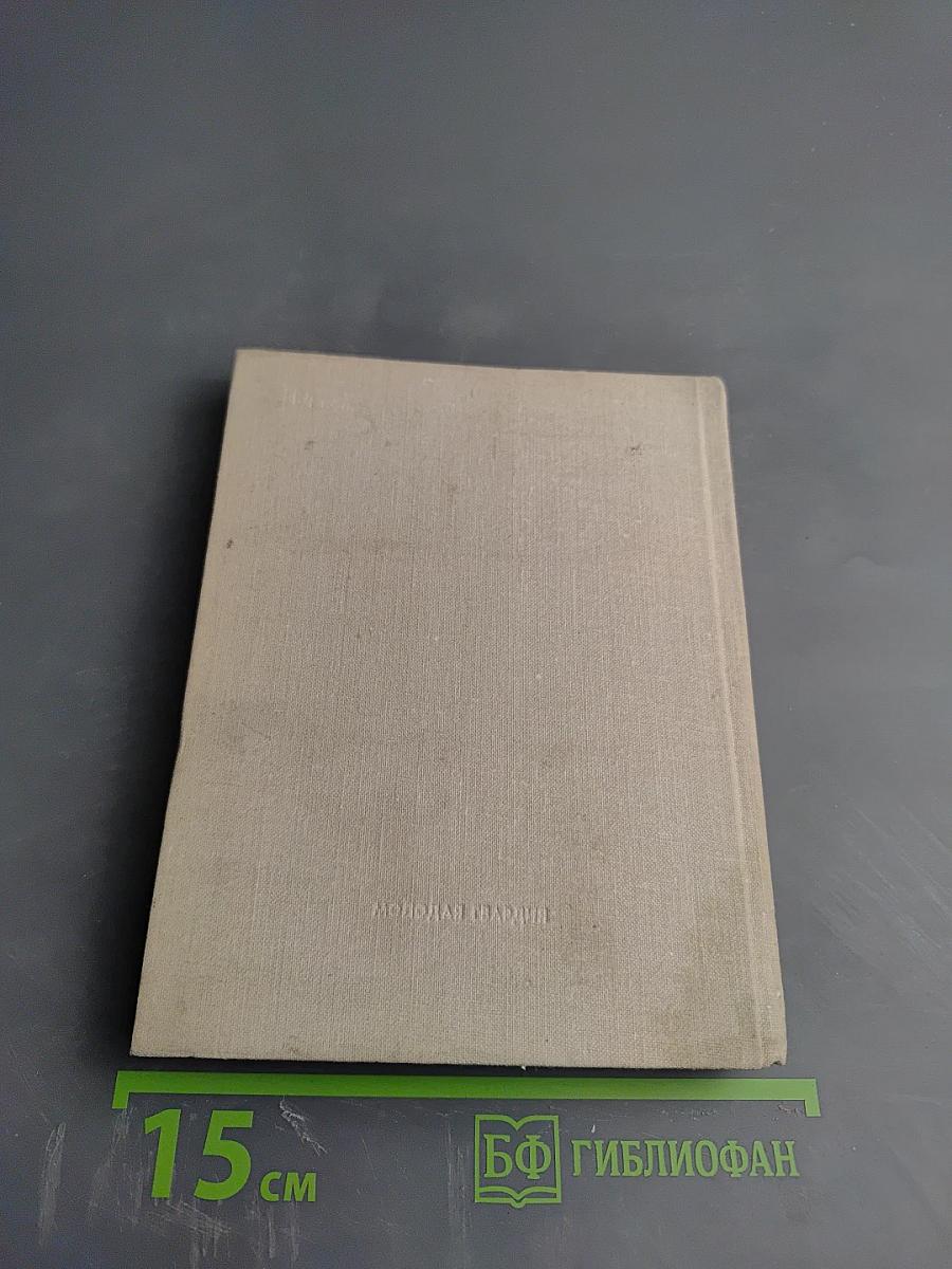Любящий тебя В. Ульянов. Письма В. И. Ленина матери