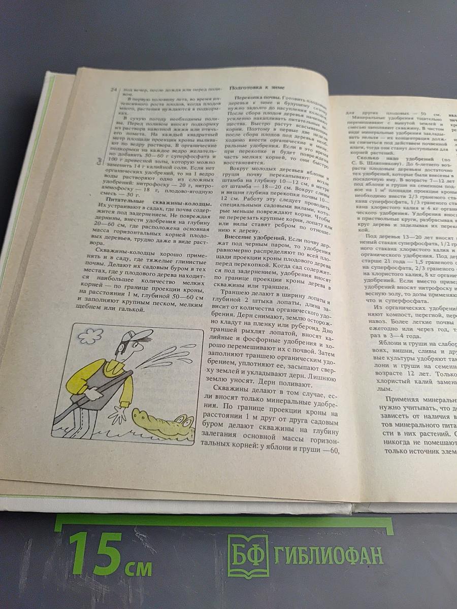 Сад Огород Усадьба. Энциклопедия для начинающих