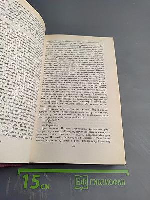 Опоздавшая молодежь. Футбол 1860 года
