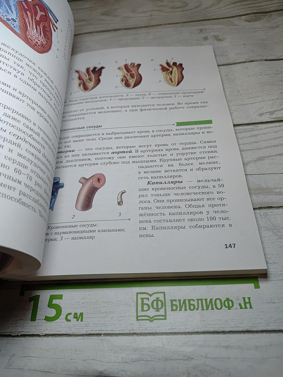 Биология 9 класс