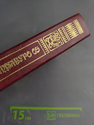 Опоздавшая молодежь. Футбол 1860 года