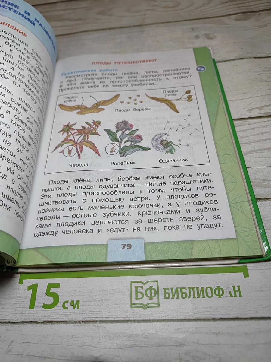 Окружающий мир. 3 класс. Часть 1