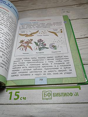 Окружающий мир. 3 класс. Часть 1