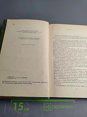 Очарованный странник