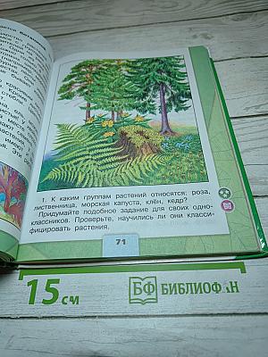 Окружающий мир. 3 класс. Часть 1