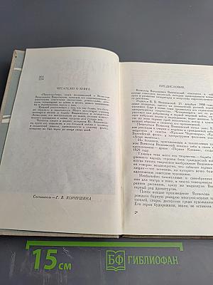 Писатель-боец. Воспоминания о Всеволоде Вишневском