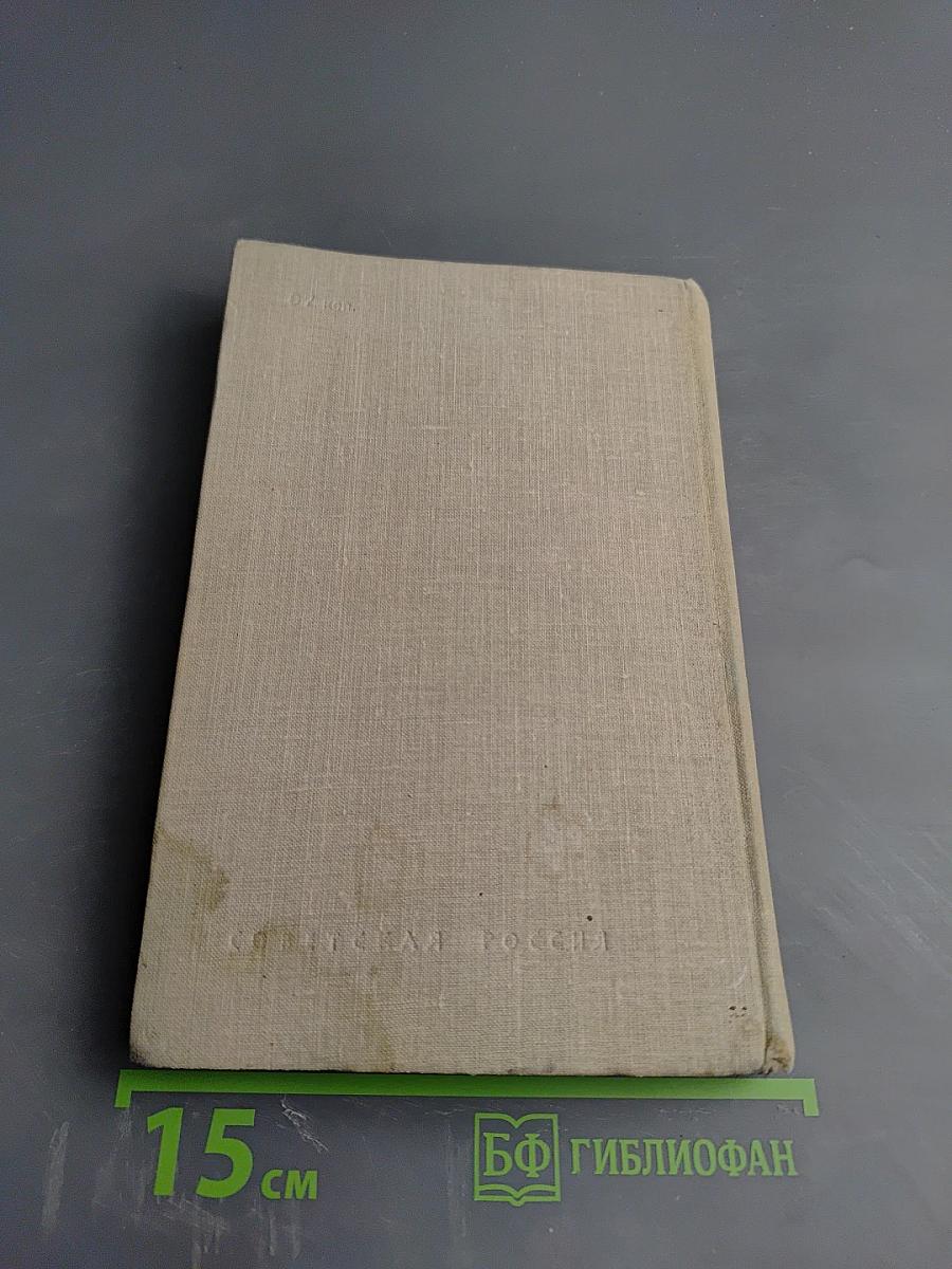 Писатель-боец. Воспоминания о Всеволоде Вишневском