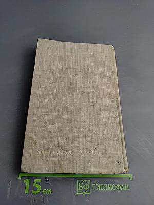 Писатель-боец. Воспоминания о Всеволоде Вишневском