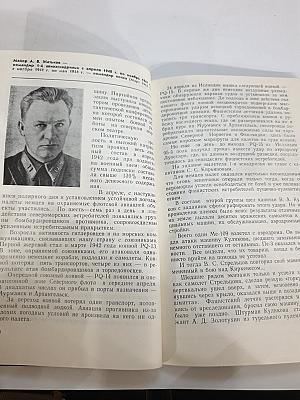 Выполняя Родины наказ: Боевой путь 95-го авиационного Краснознаменного полка