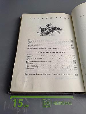 Что я видел