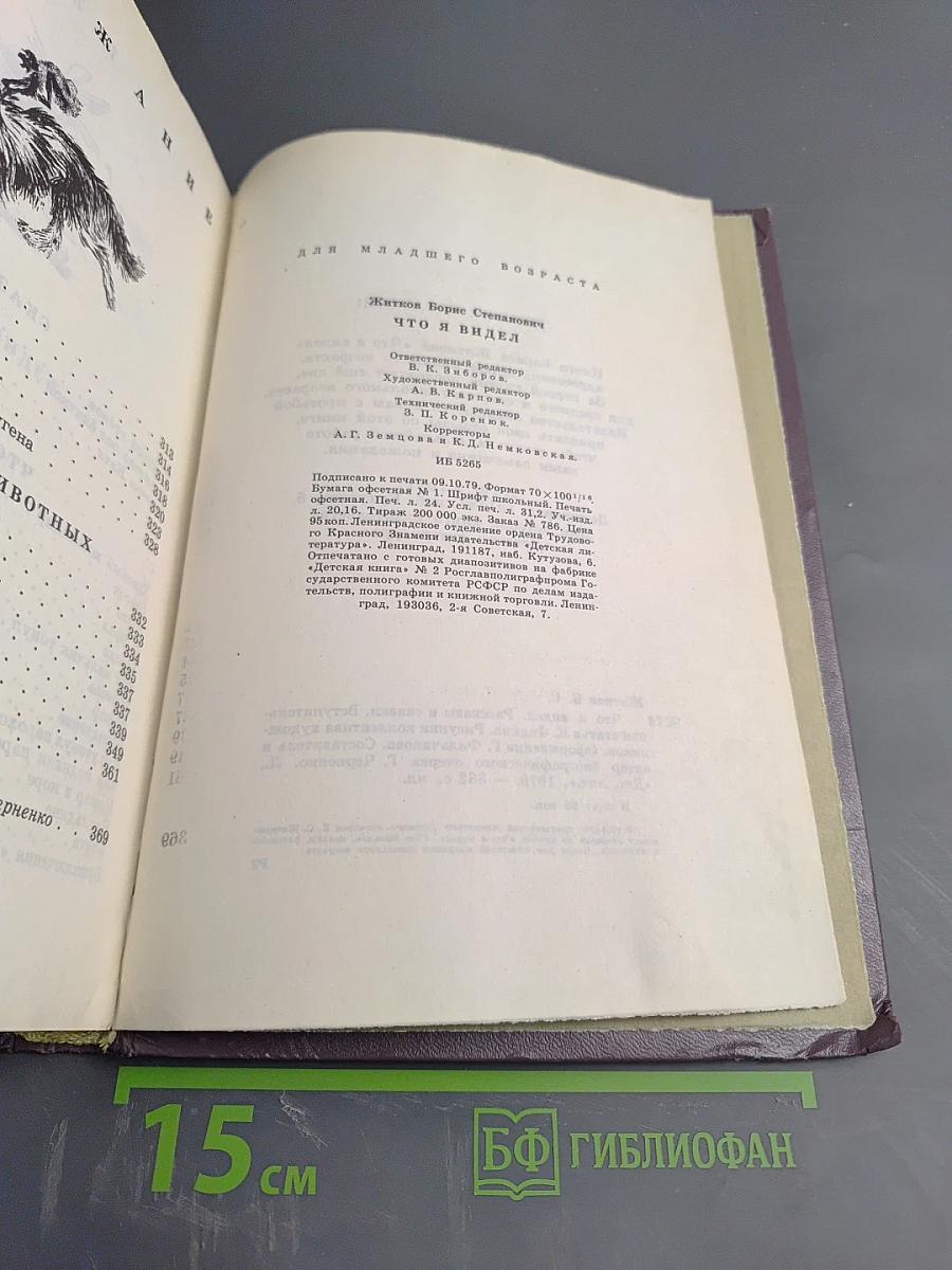 Что я видел